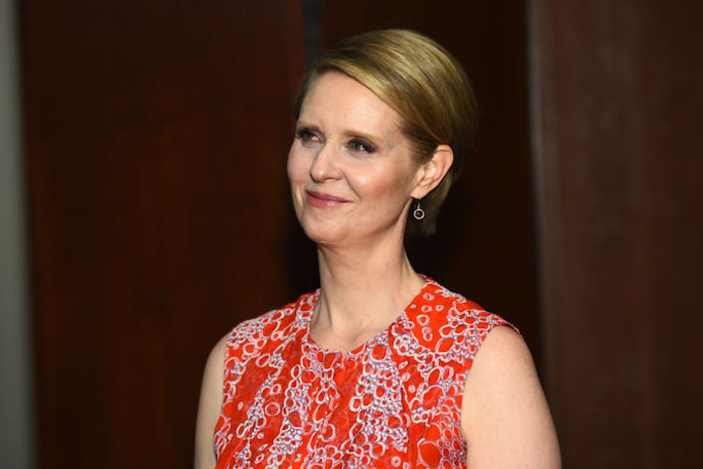 Former Sex And The City Actress Cynthia Nixon Running For Hot Sex Picture 8446