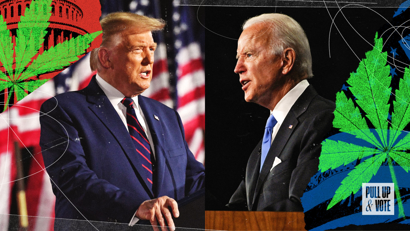 How Trump And Biden Will Affect The Cannabis Industry Complex