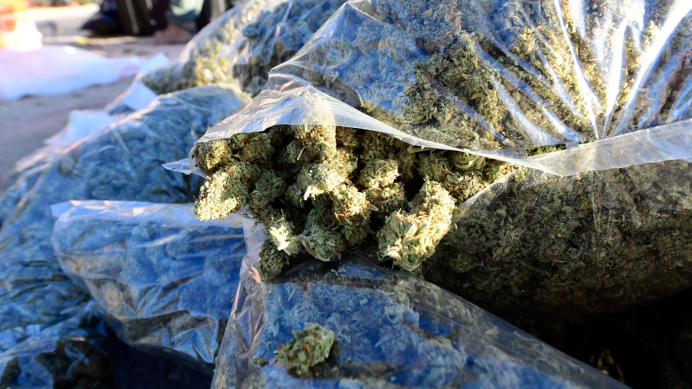 Marijuana buds spill out of a broken bag