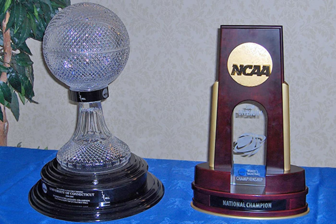 50 things converse all star ncaa chucks