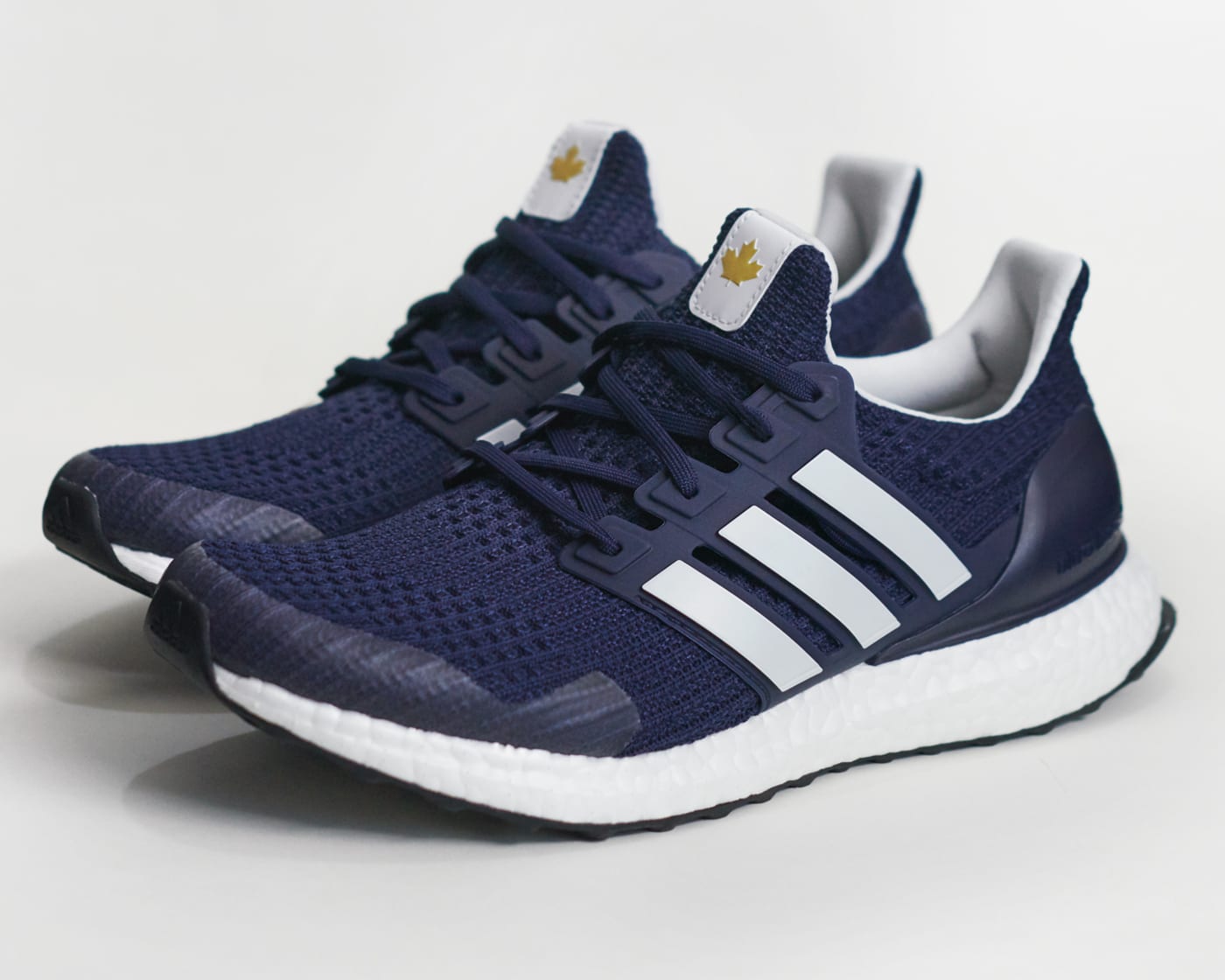 Terry Fox Ultraboost DNA