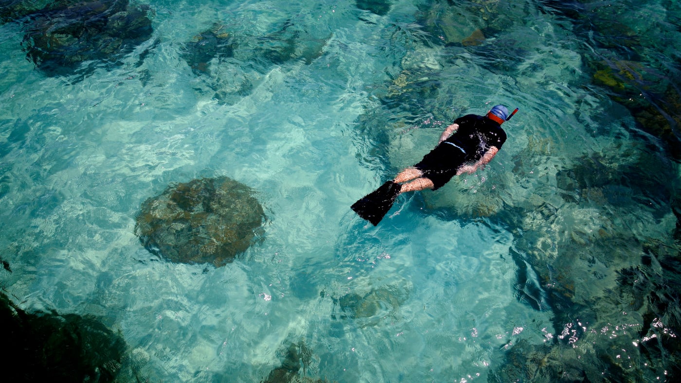 A tourist snorkels in the waters outside Green Island, near the Great Barrier Reef.