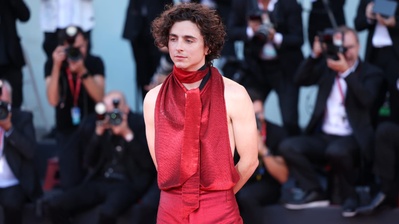 Timothee Chalamet is seen on the red carpet