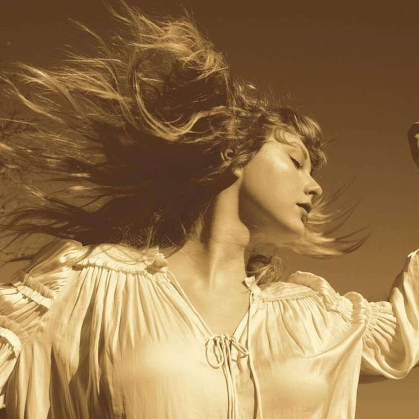 taylor swift fearless shirts