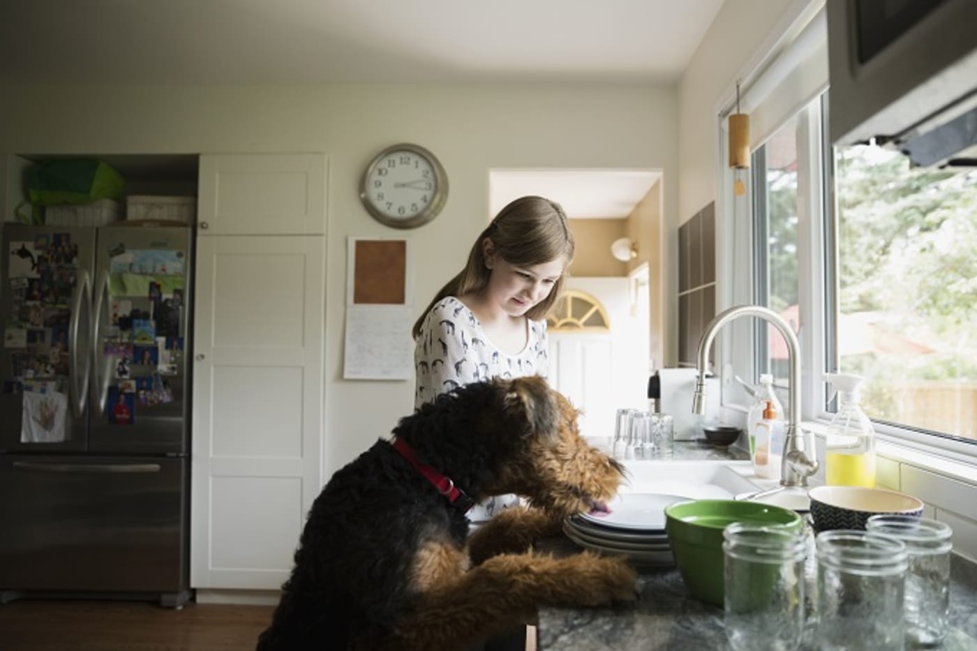 Ohio Woman Broke Into Home to Do Dishes, Pet Dog Complex