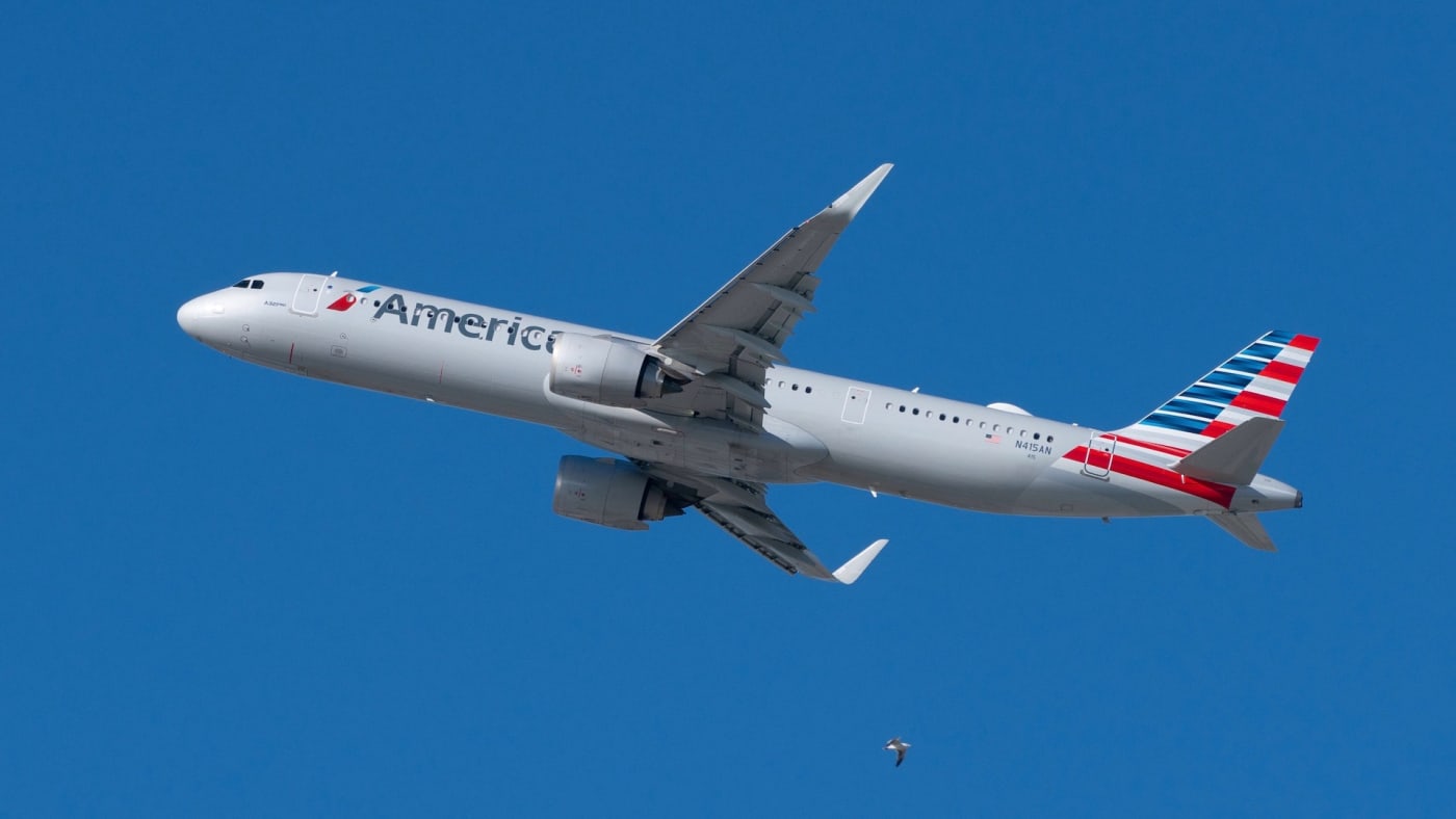 American airlines bird policy