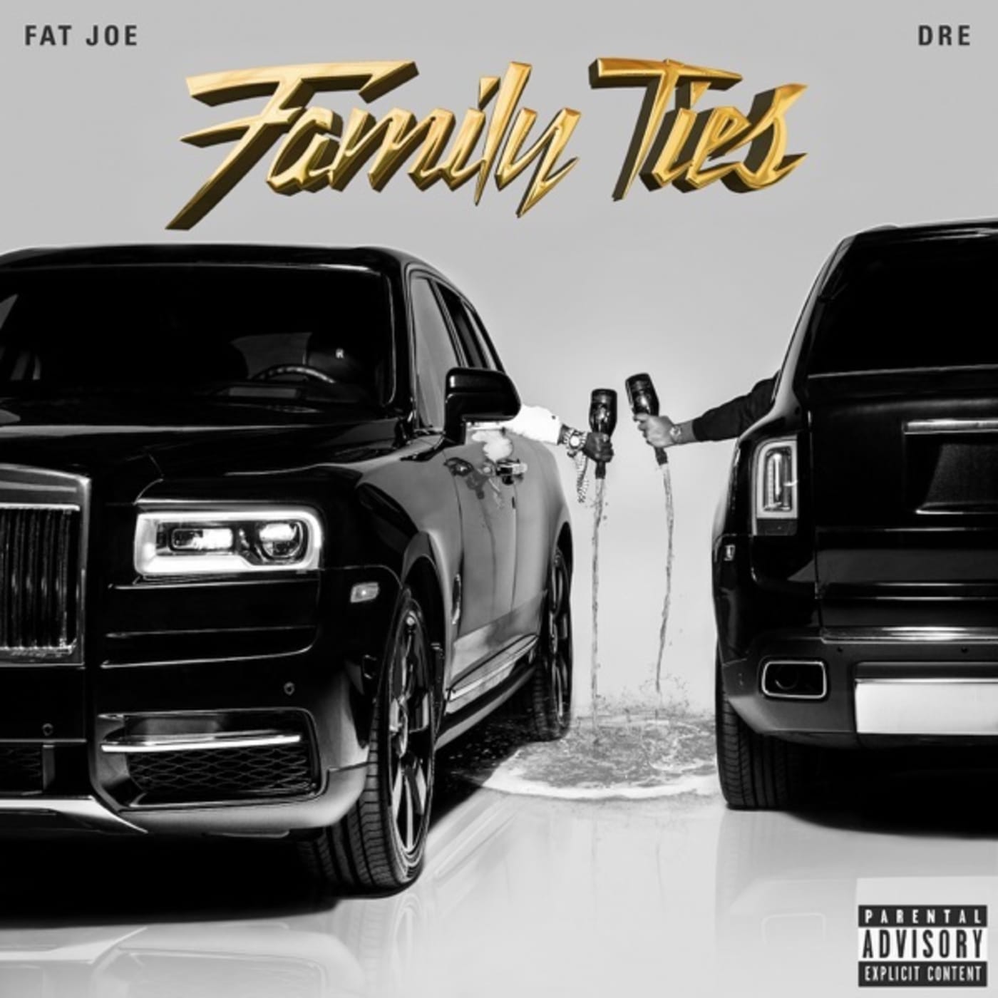 Fat Joe and Dre 'Family Ties'