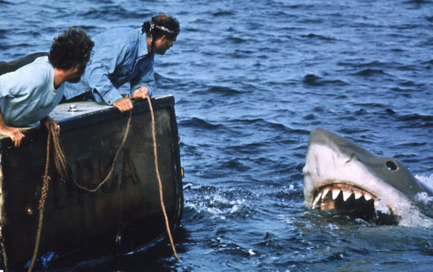 The Best Shark Movies Of All Time Complex They are now a genre in some movies are so bad they're good; the best shark movies of all time complex