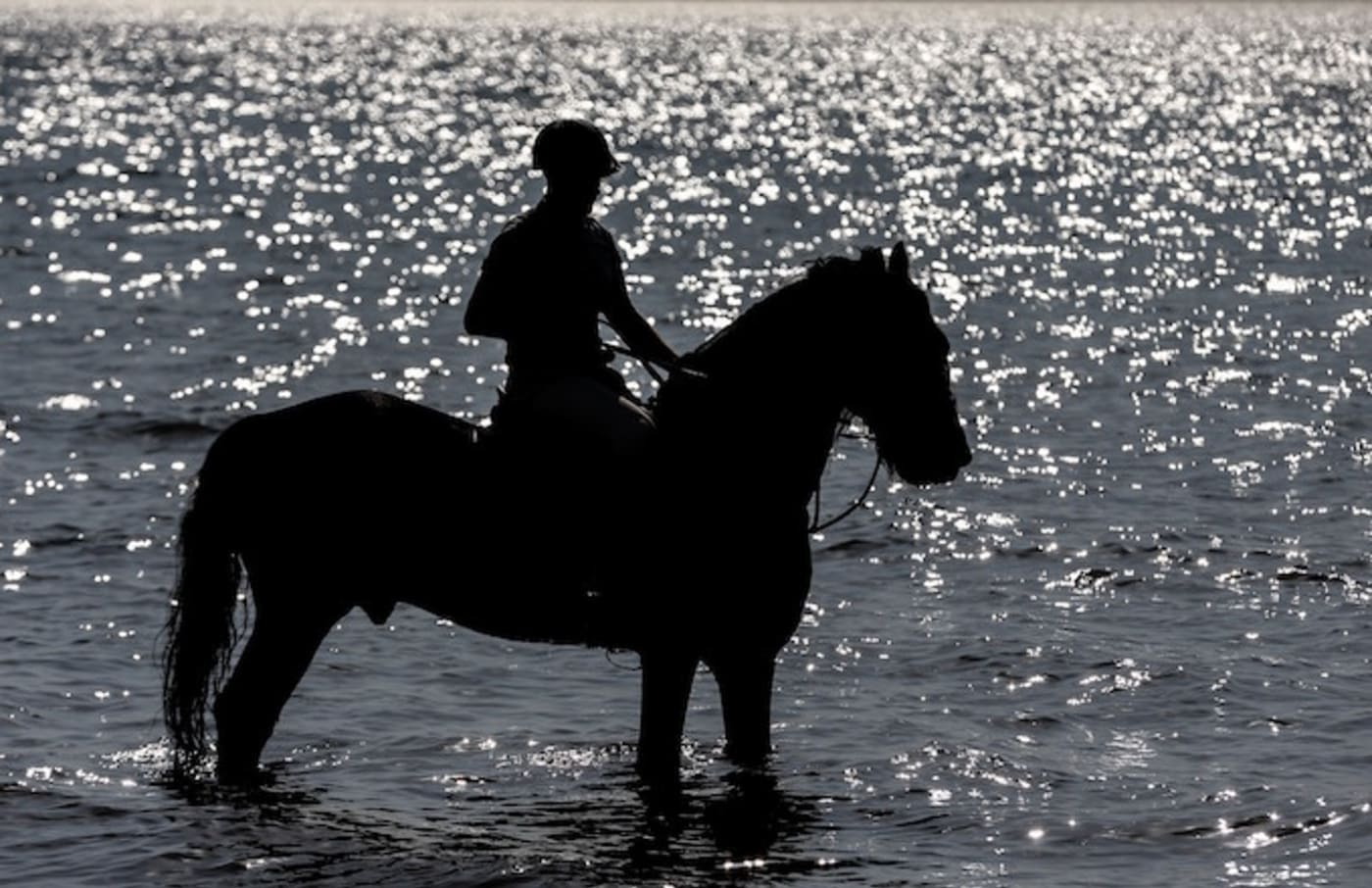 Silhouette of a Turkish Armed Forces' personnel on horseback by the sea in Bursa, Turkey.