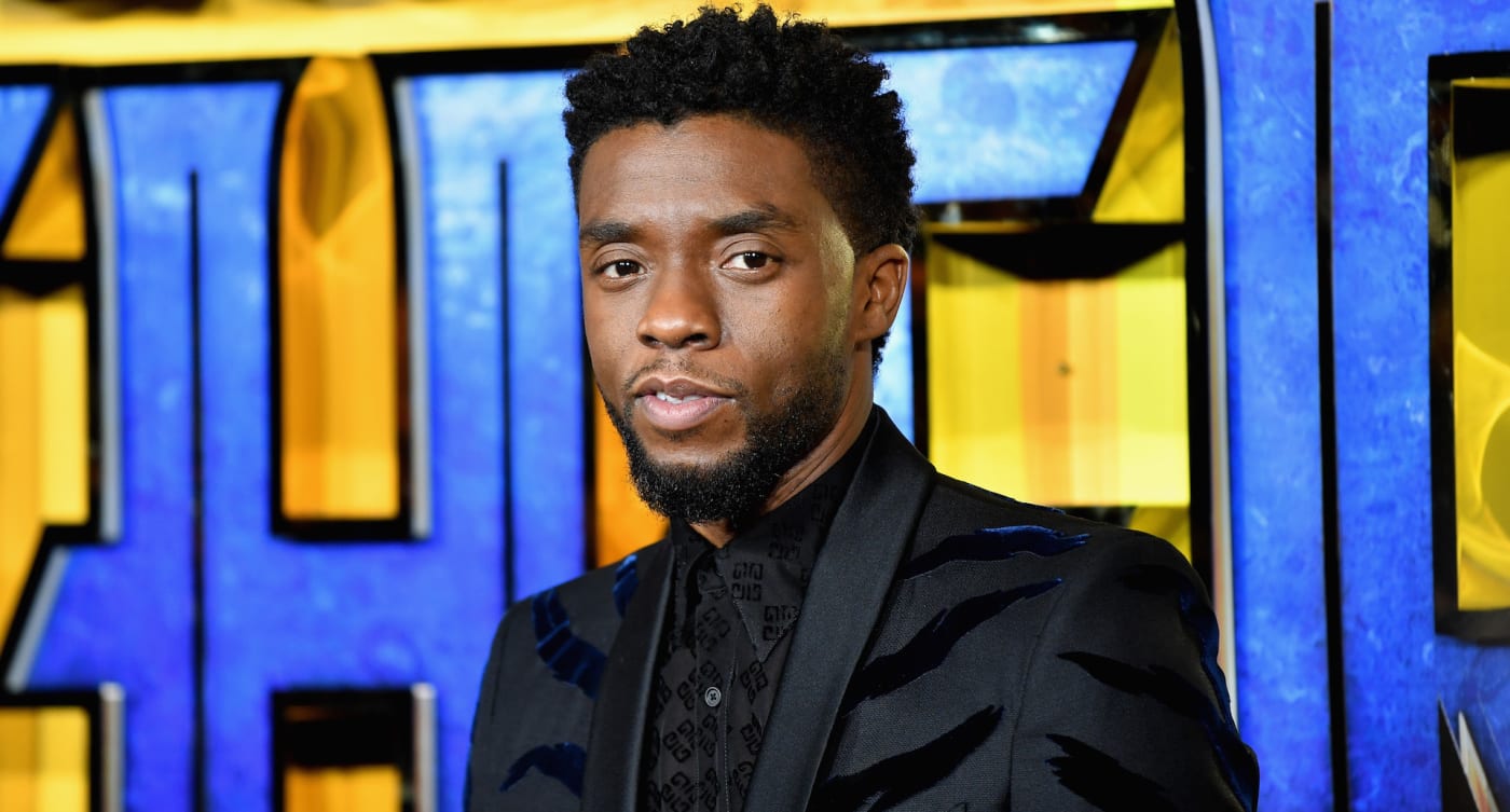 Chadwick Boseman on red carpet for 'Black Panther' premiere