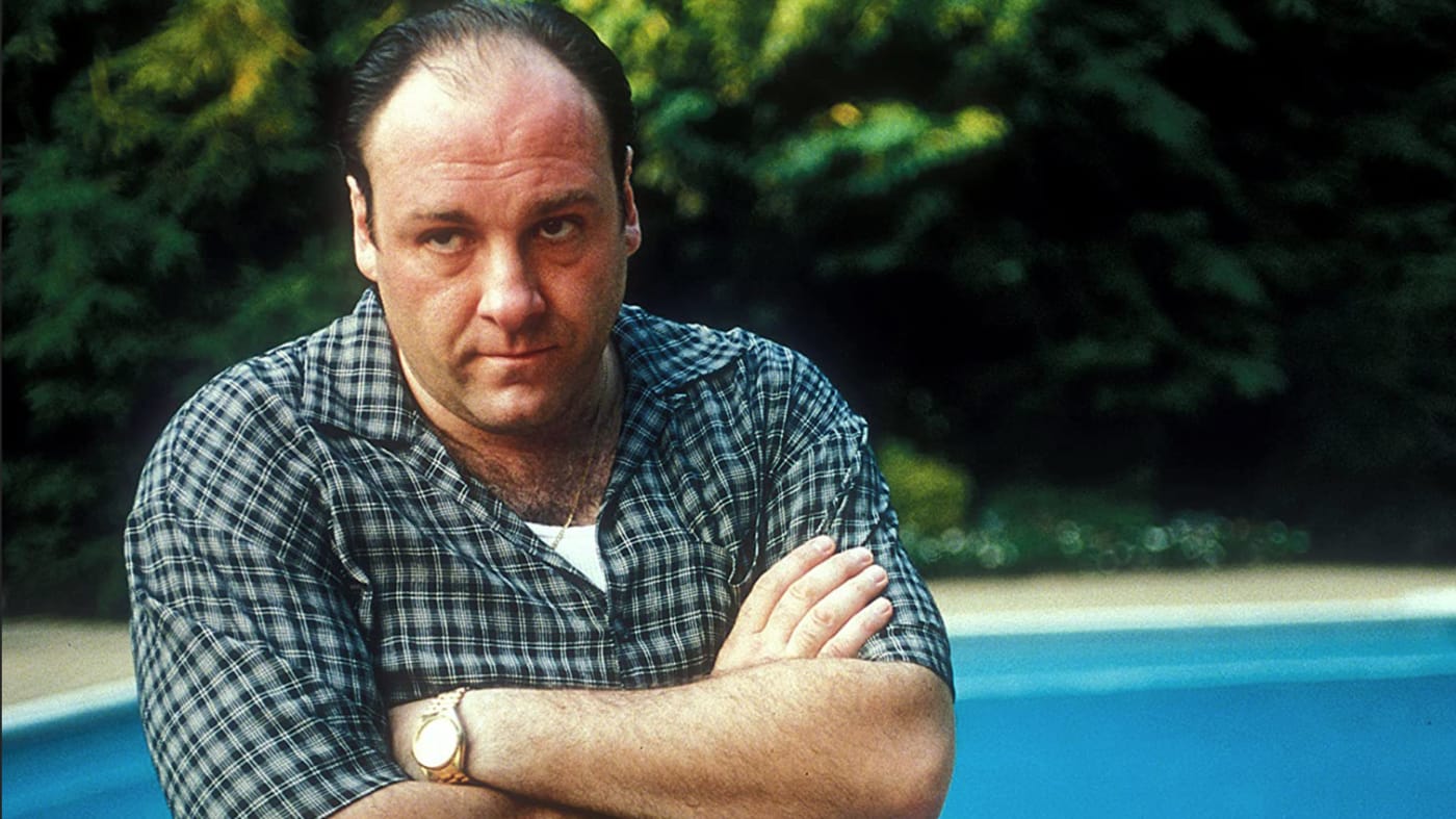 Where Have You Gone Tony Soprano Complex