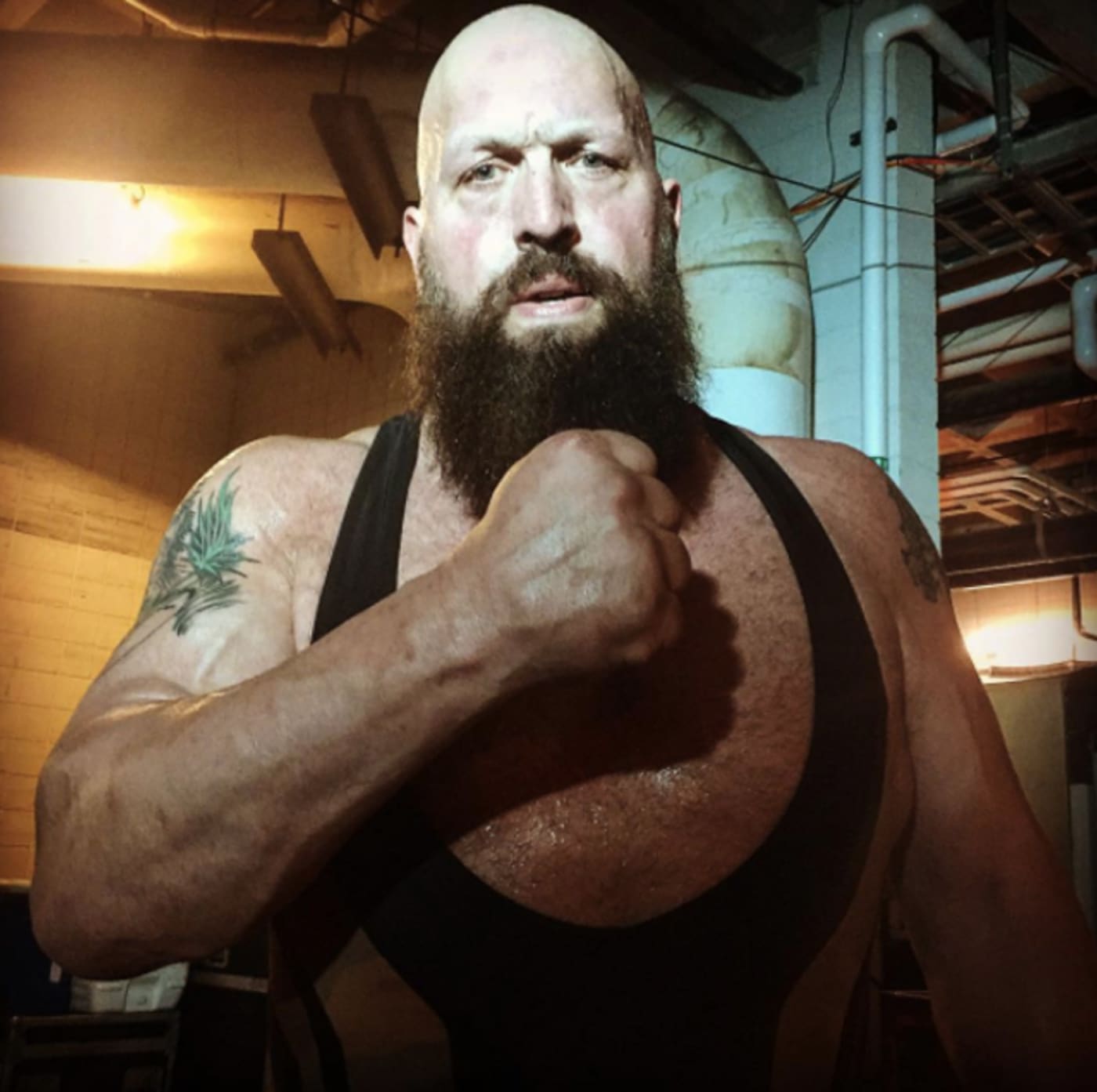 Big Show Interview Complex