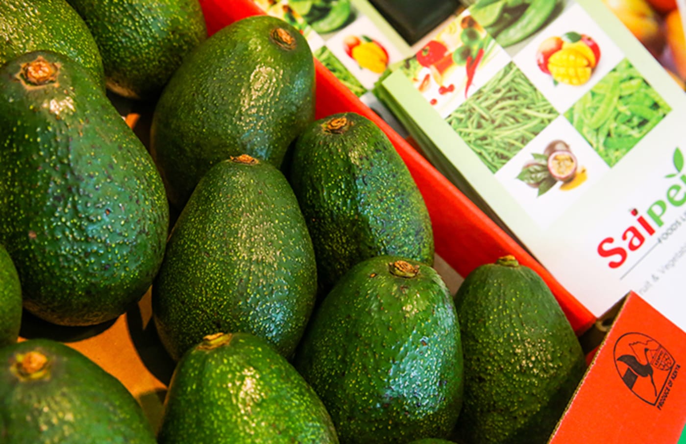 America Could Experience Avocado Shortage if Trump Closes Mexico Border