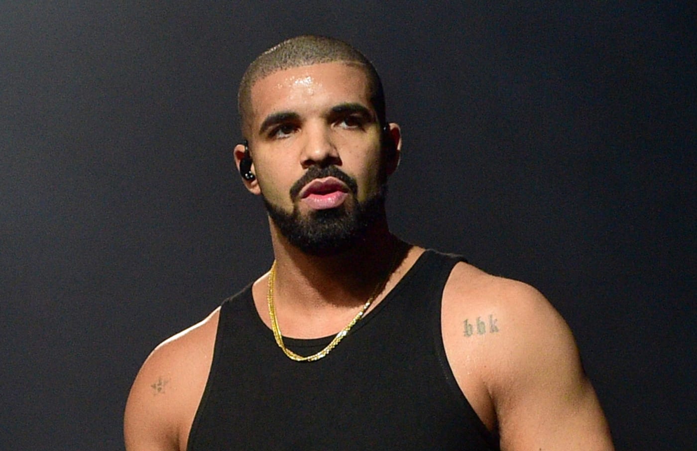 Drake performance photo