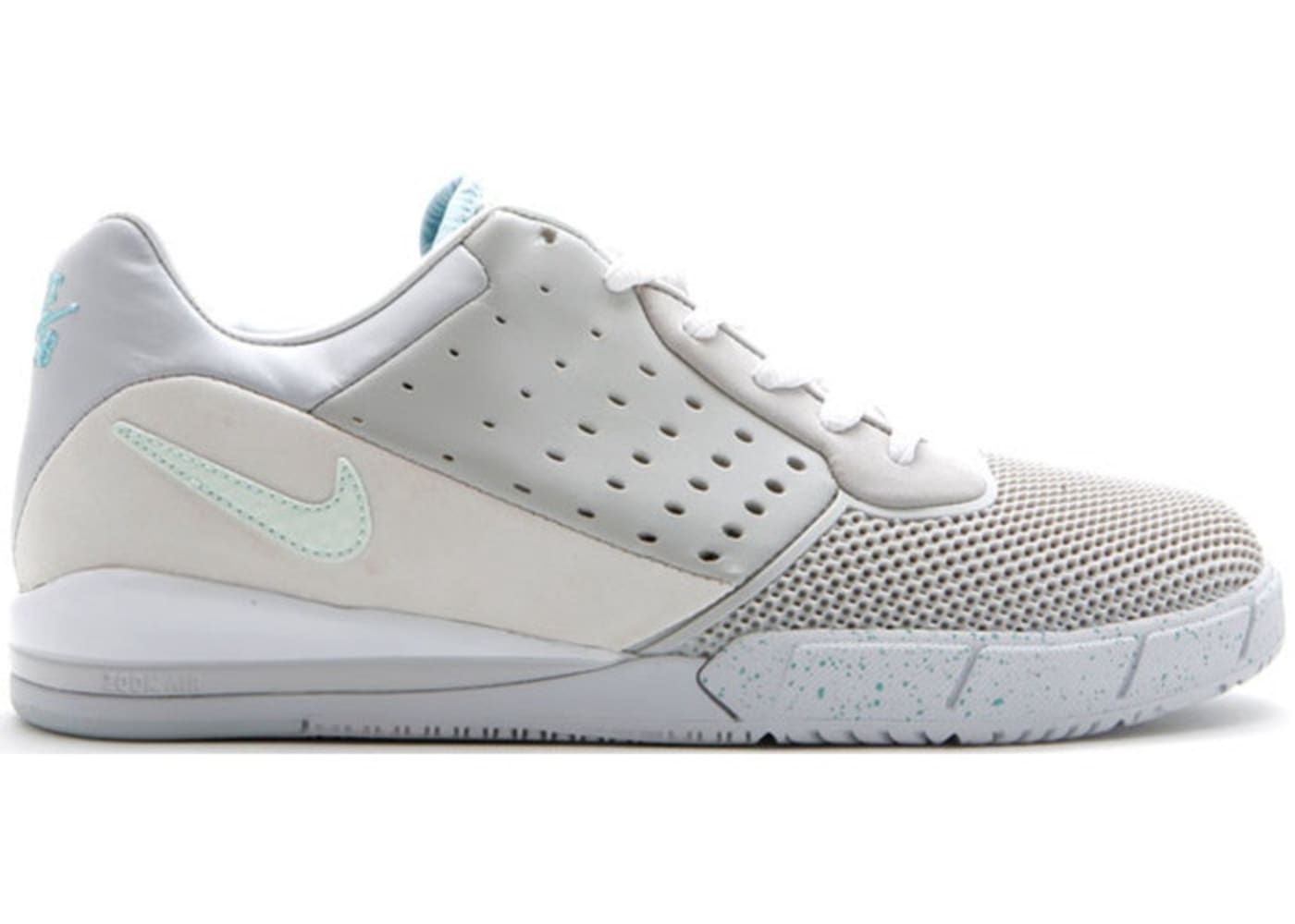 nike dunk skate shoes