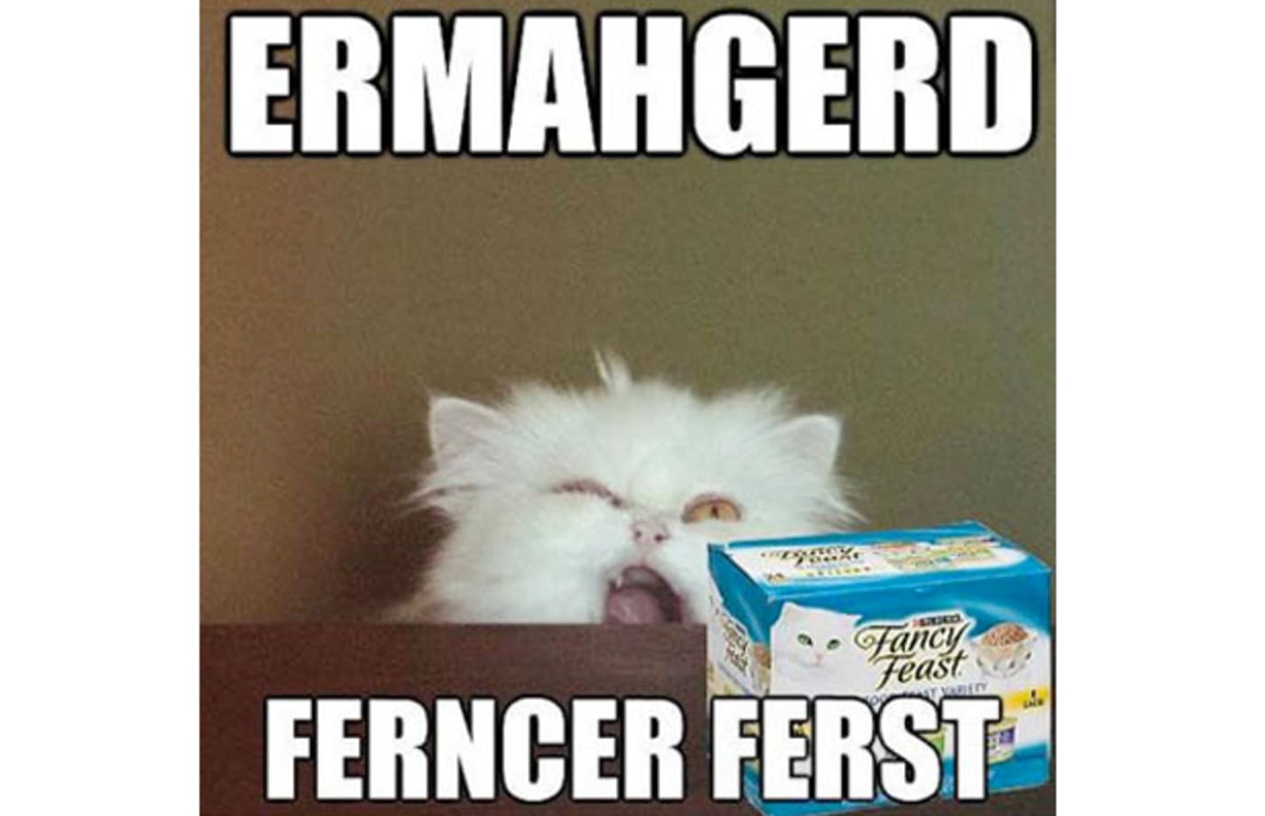 The Funniest Ermahgerd Memes Complex