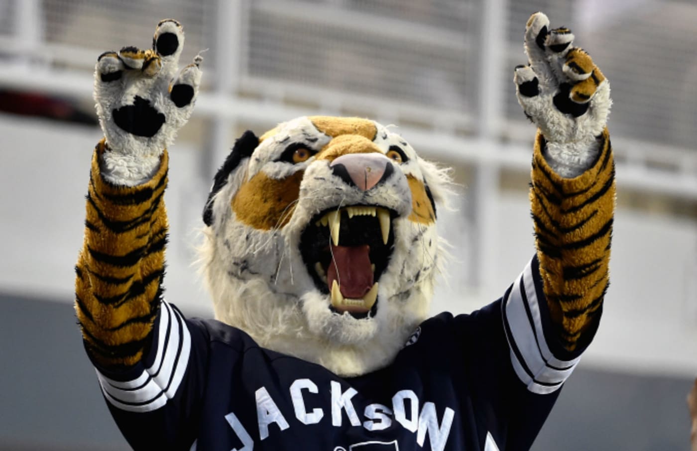 The Jackson State Tigers mascot Wavee Dave cheers