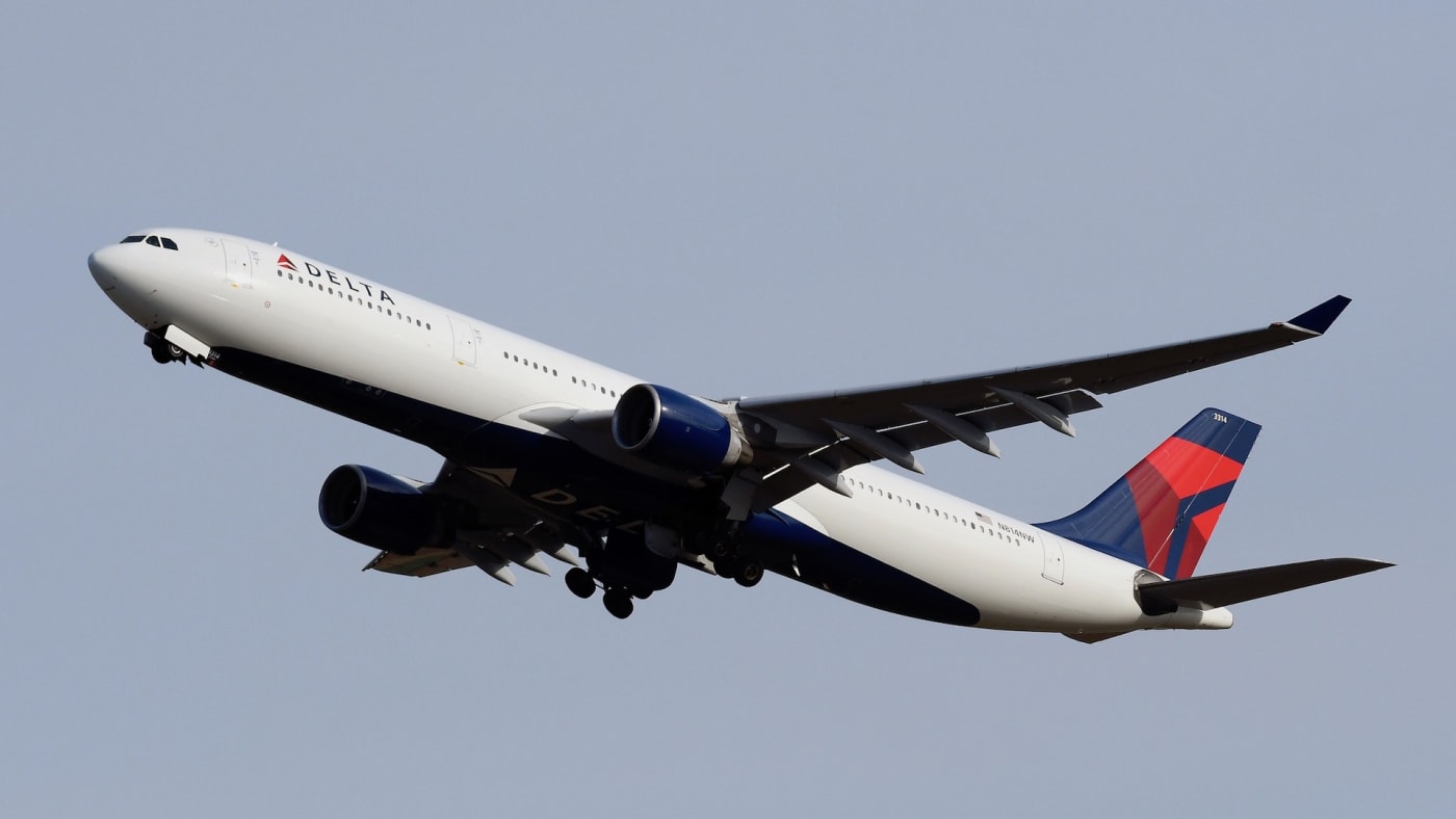 Woman Reportedly Caught Breastfeeding Hairless Cat on Delta Flight