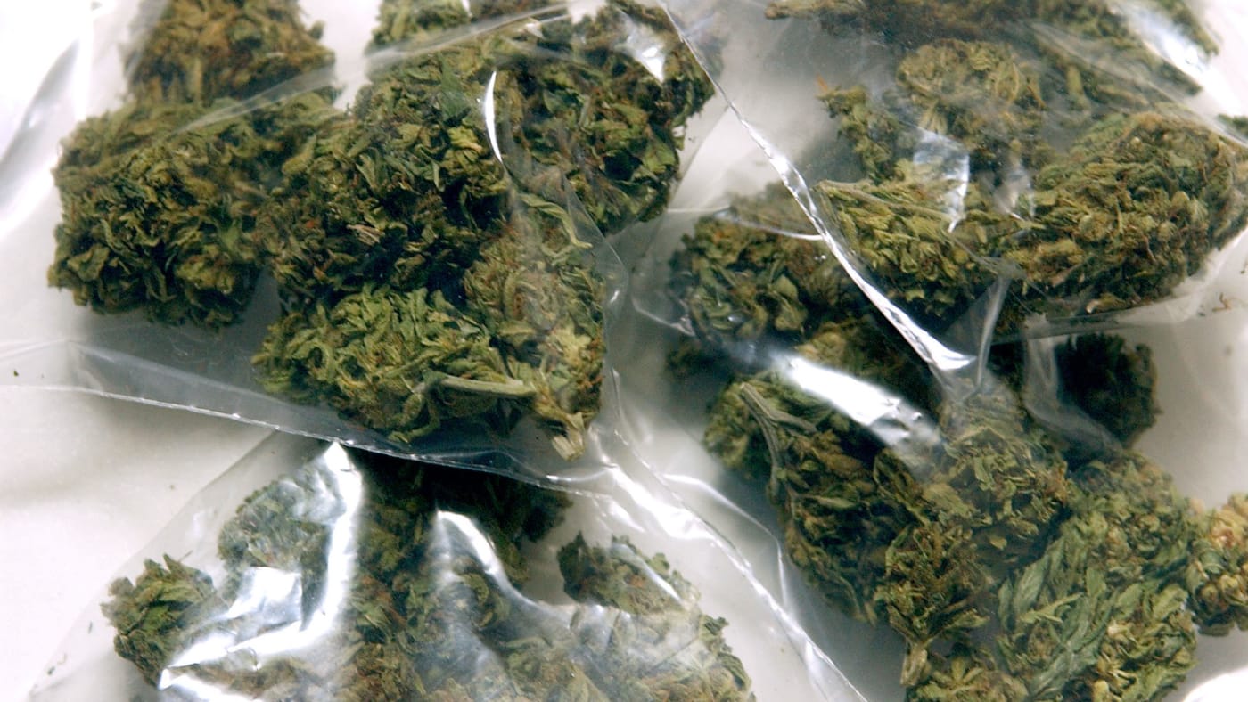 Sour Secret - Irvine Seed Company