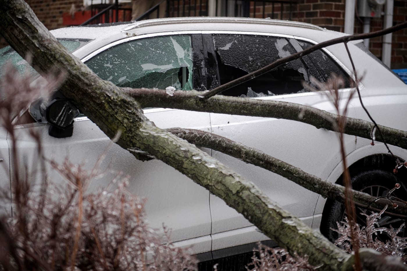 Montrealers Share Videos of Fallen Trees, Damaged Cars From Ice Storm