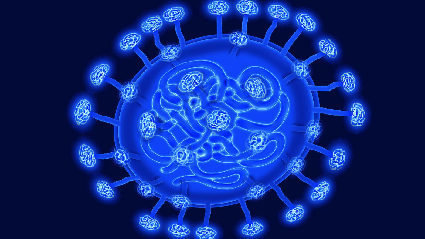 Illustration of the human coronavirus.