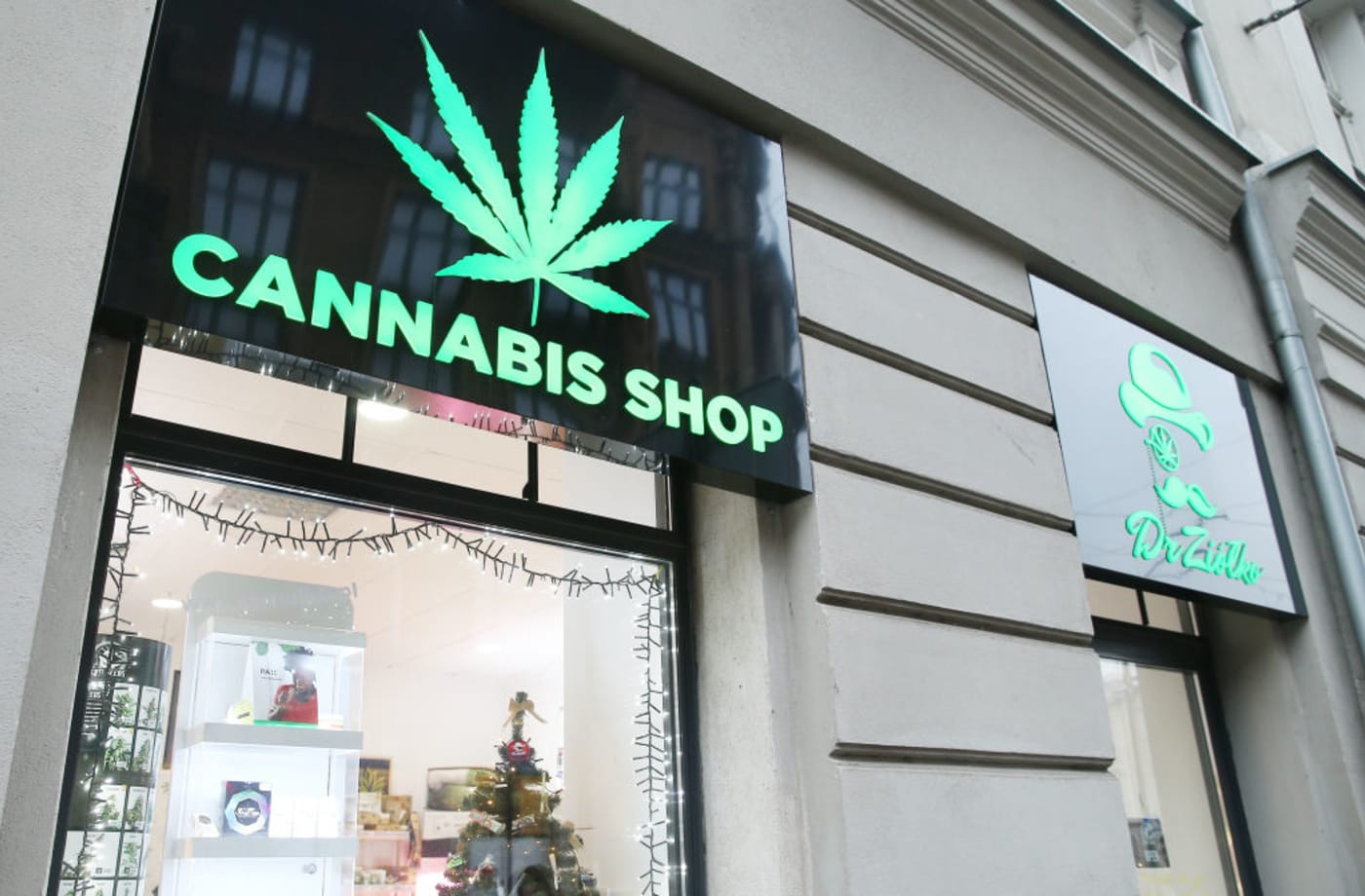 cannabis shop