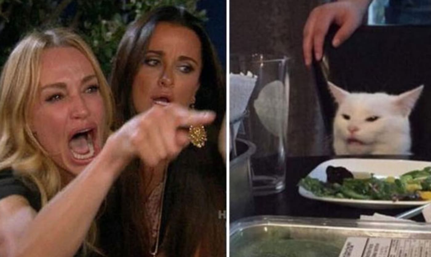 Hilarious Woman Yelling At Smudge The Cat Meme Finds Second Life Complex