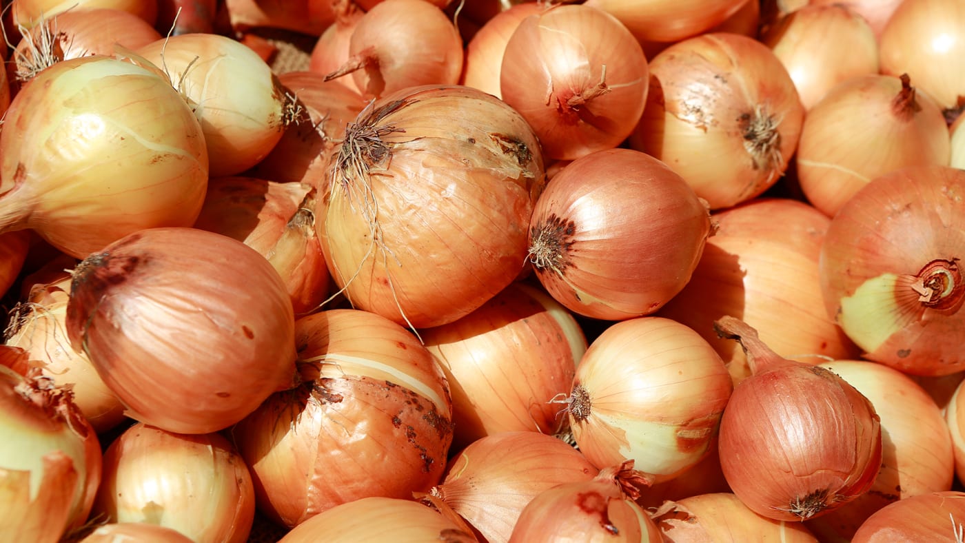 Onions for sale at the South Station produce market in Boston, Massachusetts.