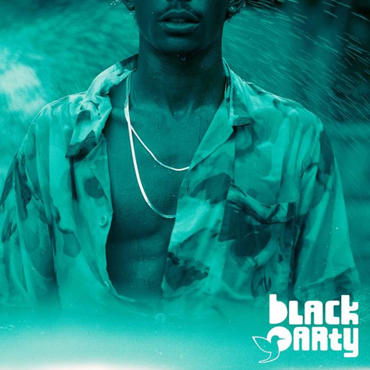 Stream bLAck pARty’s New 2Song Pack ‘Birds & Bees’ Complex