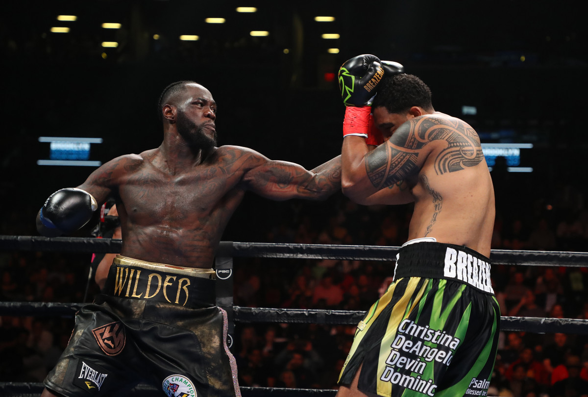 5 Hardest Punchers in Boxing Deontay Wilder to Canelo Alvarez Complex