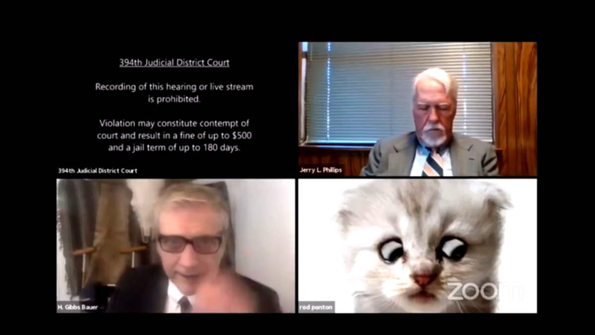 Lawyer Tells Judge He's 'Not Really a Cat' During Zoom Filter Screw-Up - Flipboard