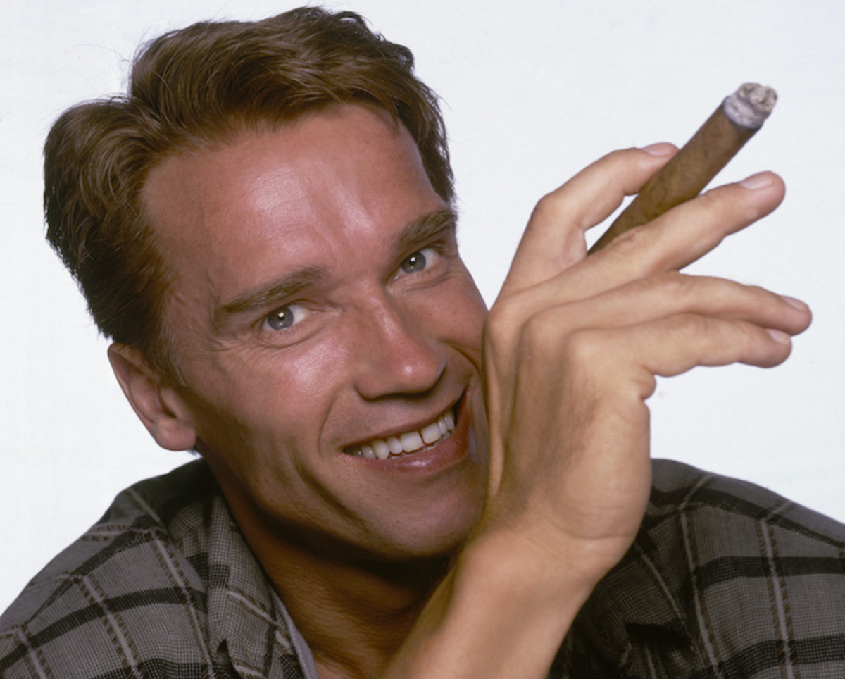 arnold schwarzenegger movies biography