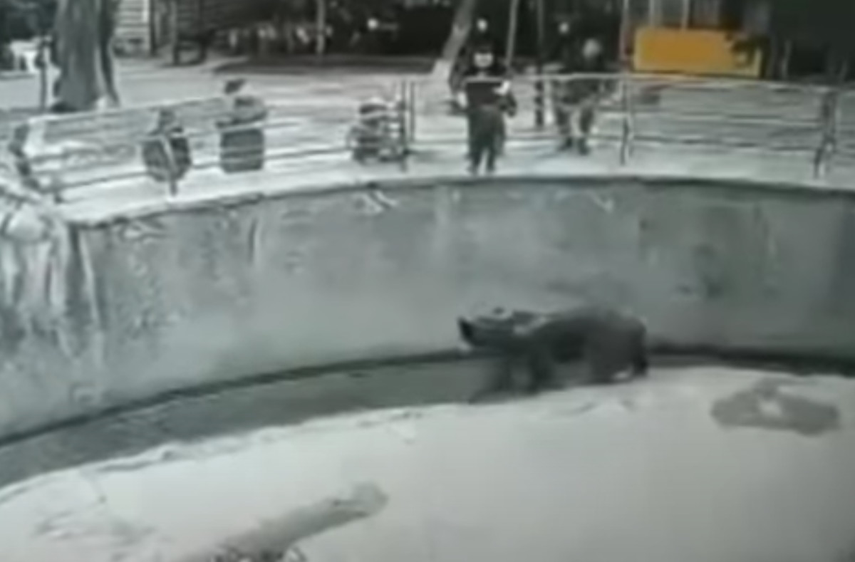 Самые загадочные фотографии в мире