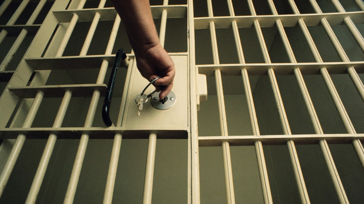 Don T F Ck With Cats Killer Will Not Get Early Prison Release Complex