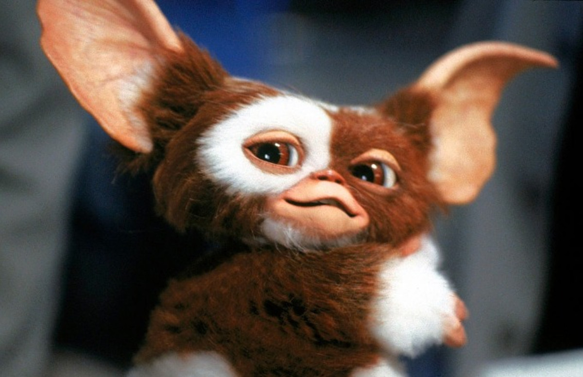 'Gremlins' Animated Prequel Series In the Works | Complex