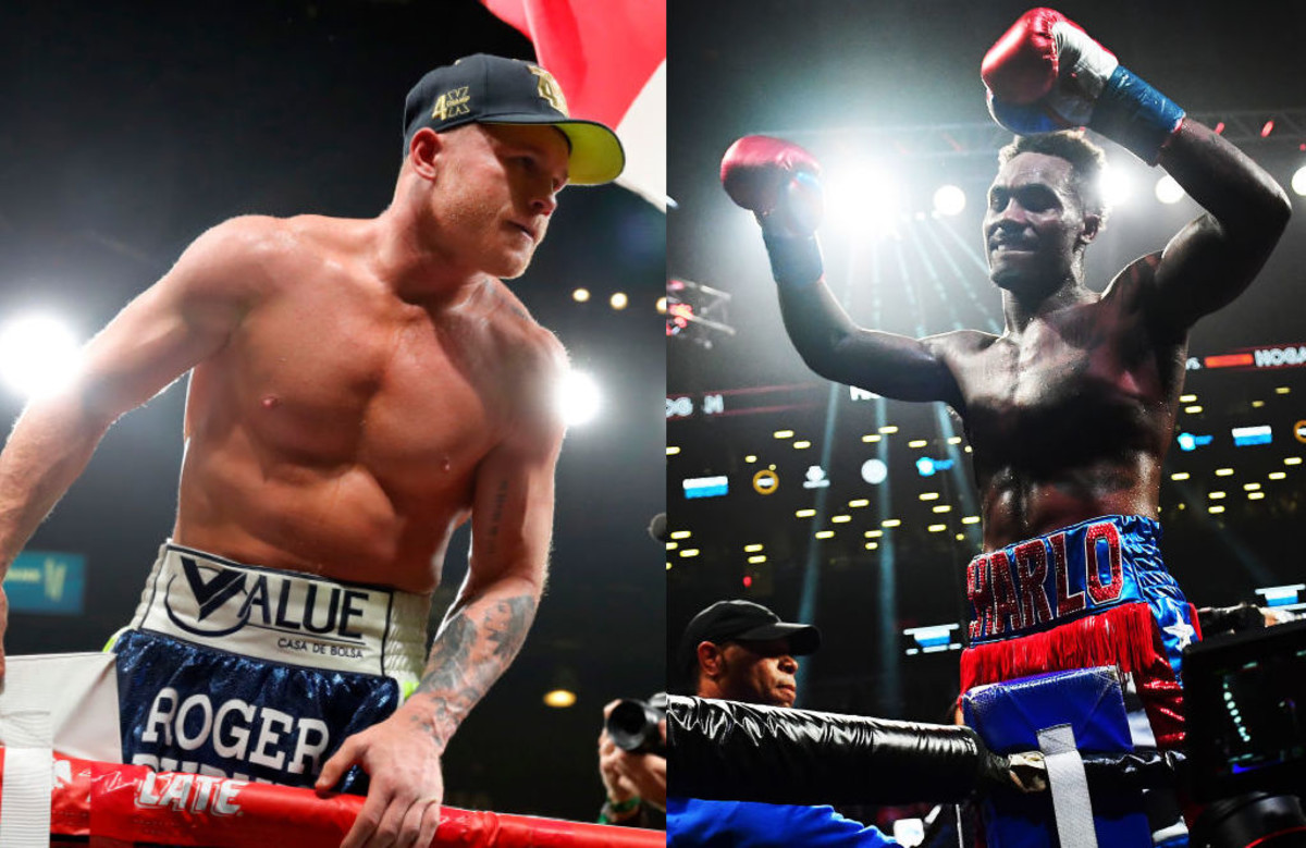 Undefeated boxers 2021 clearance