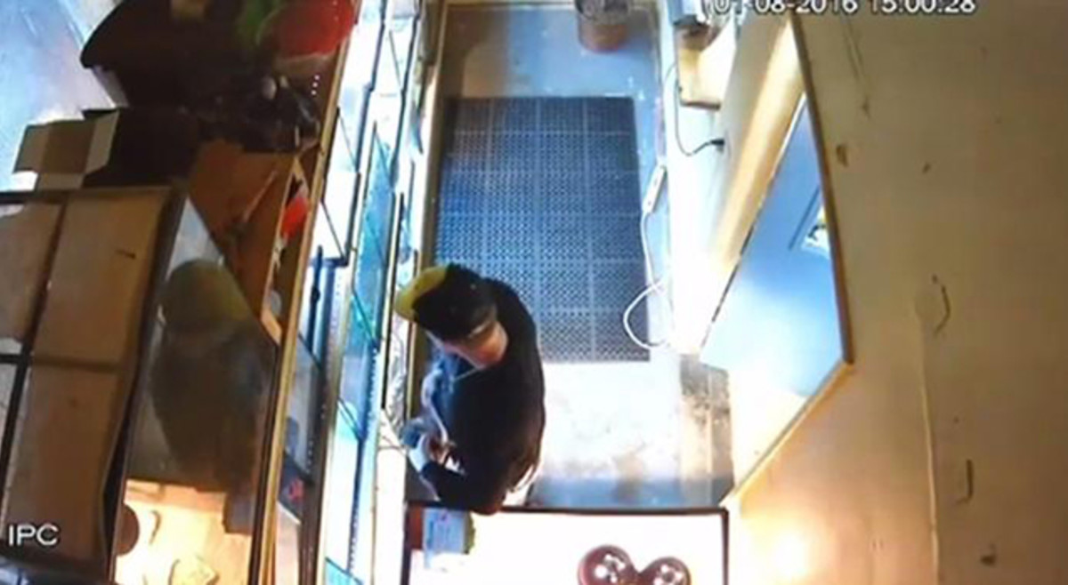 Watch This Idiot Shove a Python Down His Pants in ‘Gutsy’ Pet Store