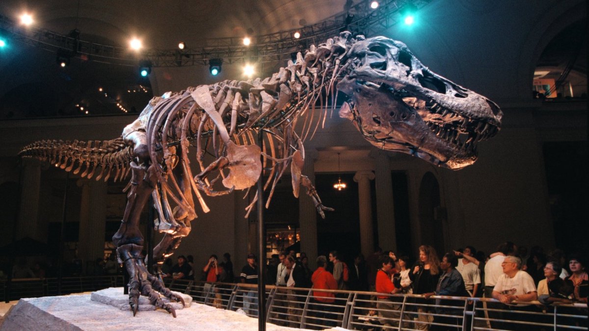 new dinosaur discovered 2021