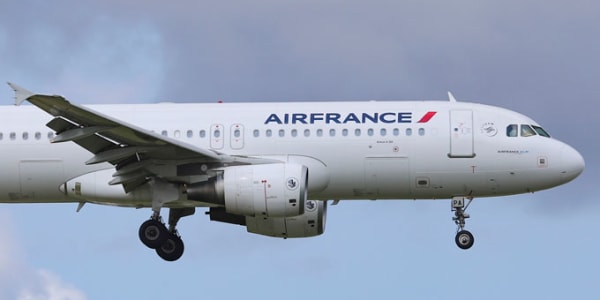 Dog Dies After Mistakenly Being Stored In Air France Cargo