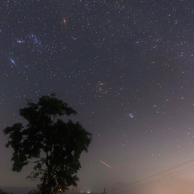SkullShaped Asteroid, Known as 'Death Comet,' Will Fly Near Earth