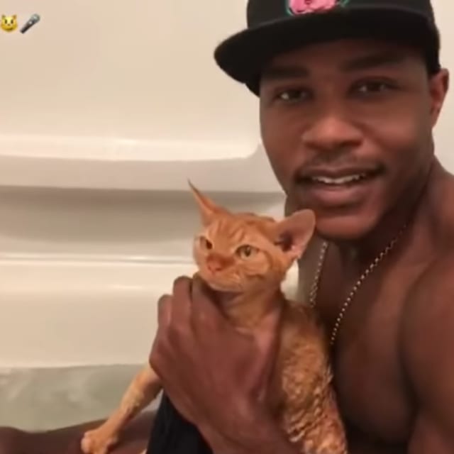 Guy Rapping About Giving His Cat a Bath Will Fulfill Your Cat Rap Needs