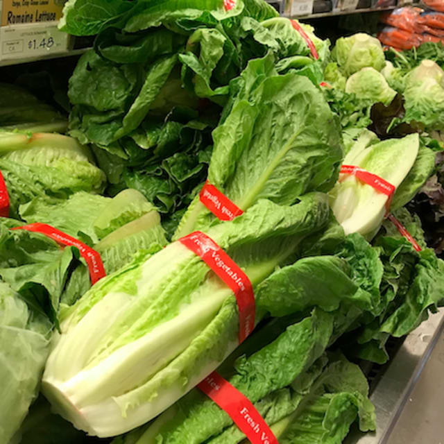 1 Dead After Eating E. Coli-Infected Romaine Lettuce in ... - 640 x 640 png 656kB