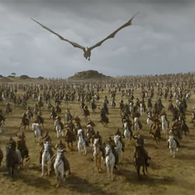 Pigeons