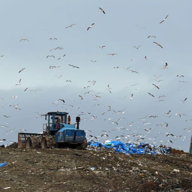 bitcoin hard drive landfill