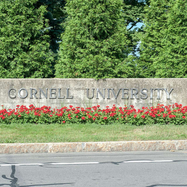 Cornell arts and sciences latin honors picture