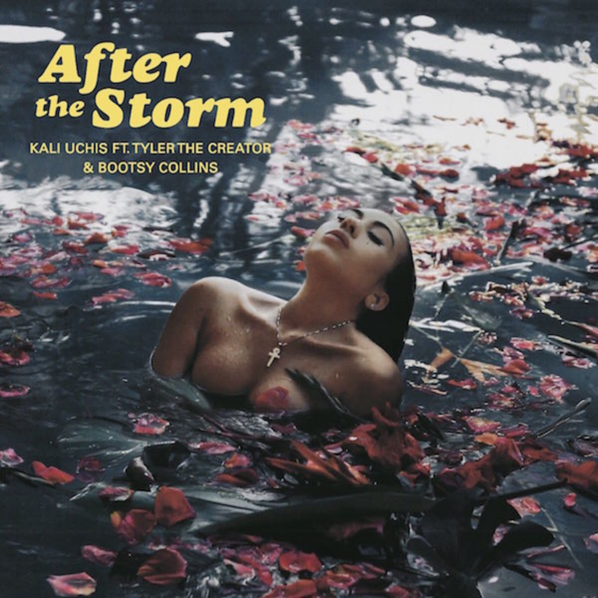 Resultado de imagem para AFTER THE STORM KALI COVER