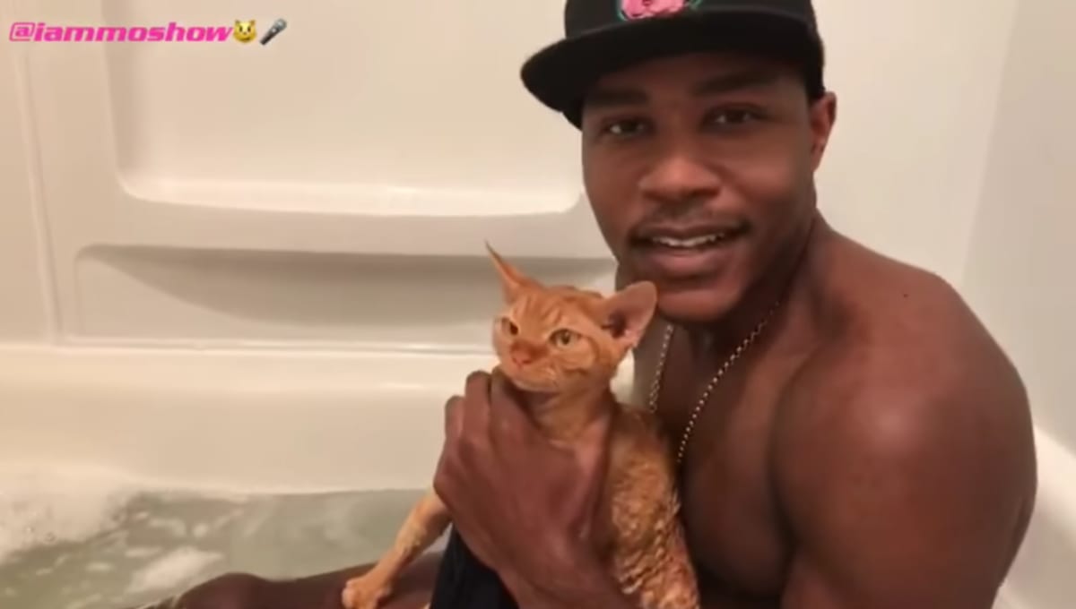 Guy Rapping About Giving His Cat a Bath Will Fulfill Your Cat Rap Needs
