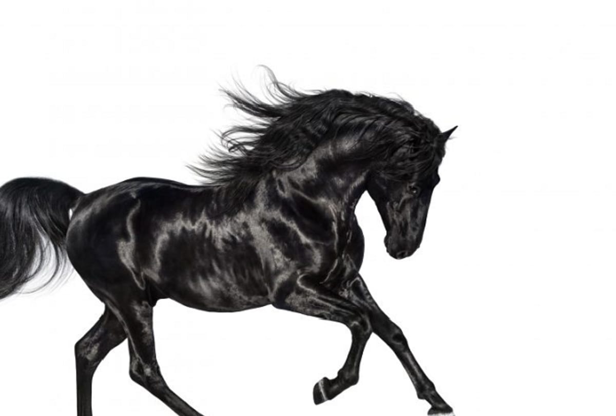 Lil Nas X’s “Old Town Road” Removed From Billboard Country