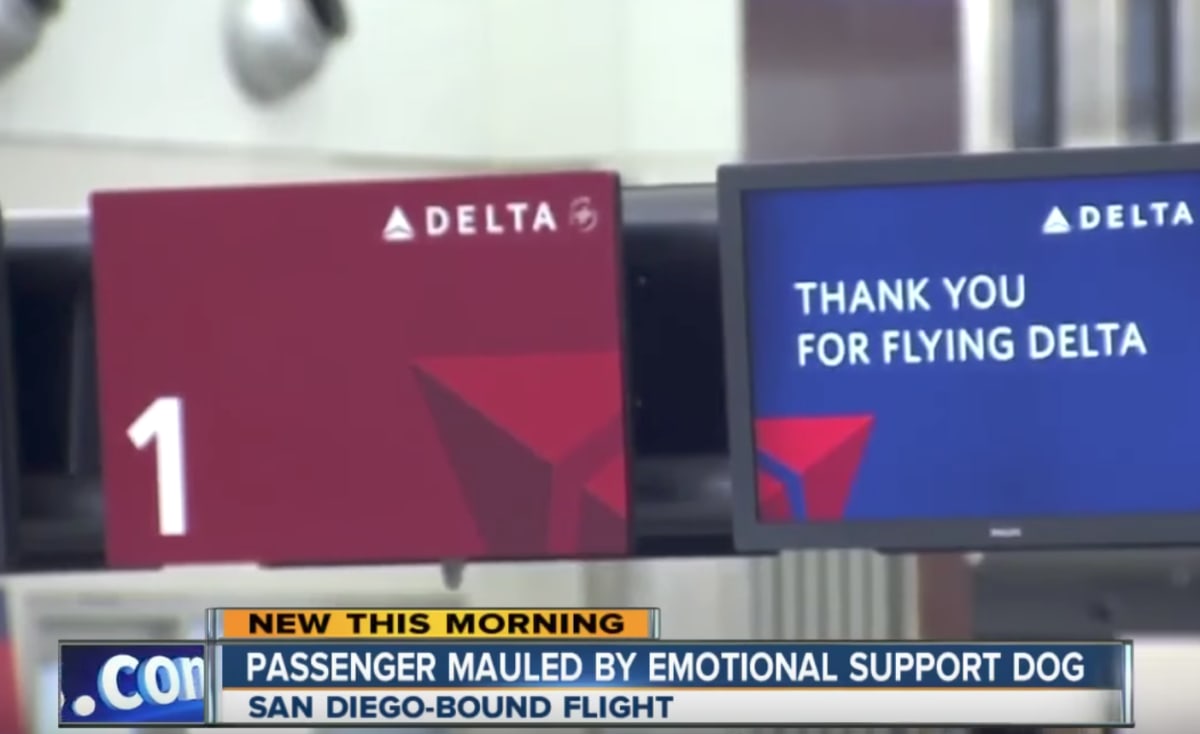 Alabama Man 'Severely Injured' After Dog Attack on Delta Flight Complex