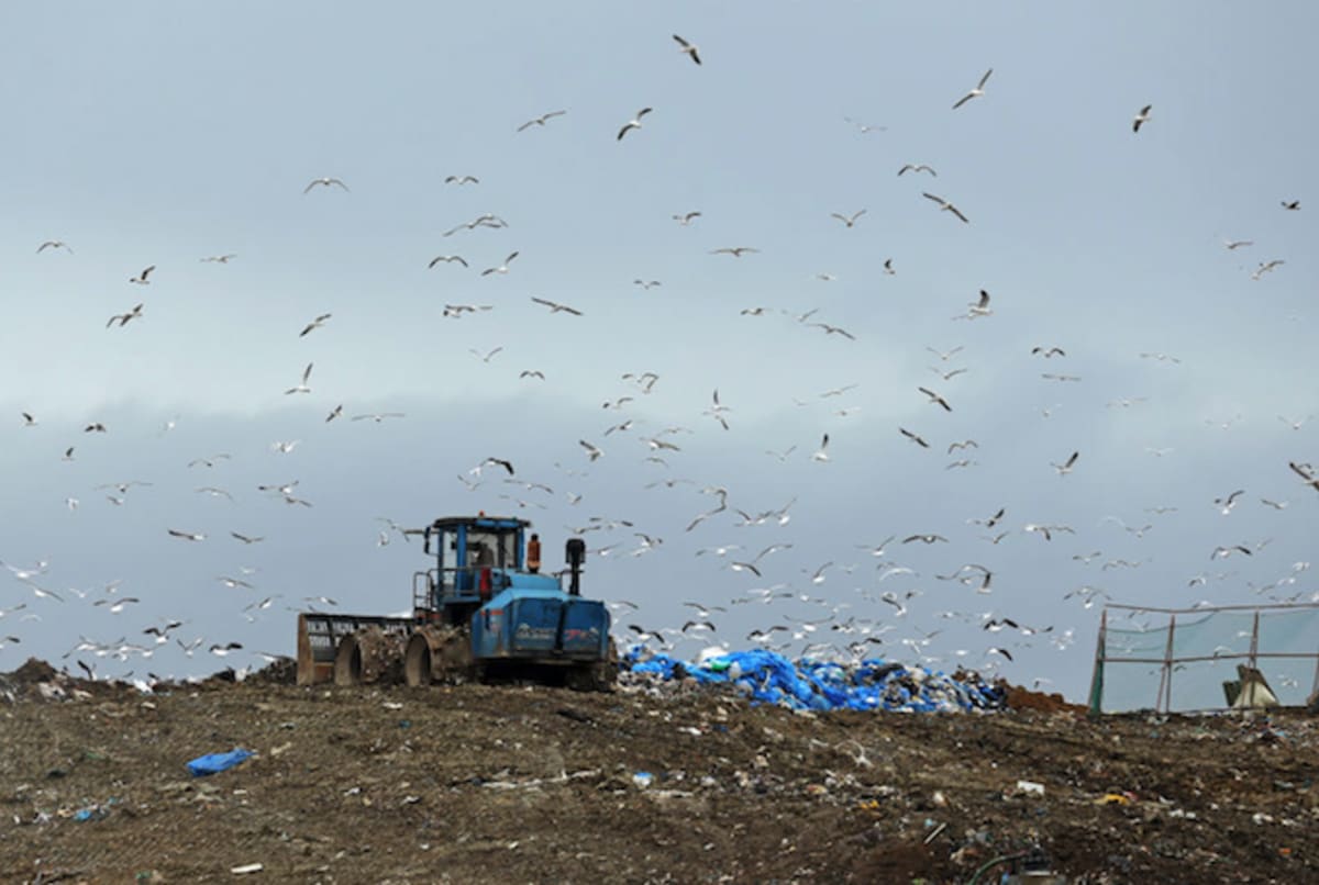 bitcoin hard drive landfill